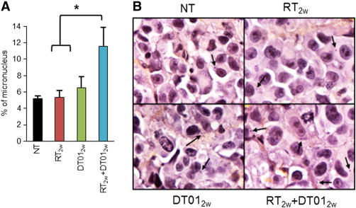 Figure 5