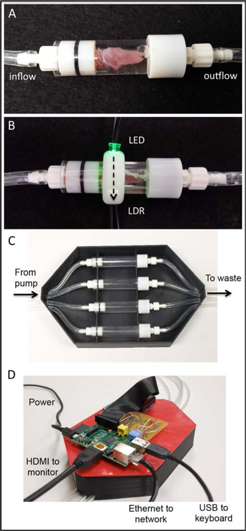 Figure 1: