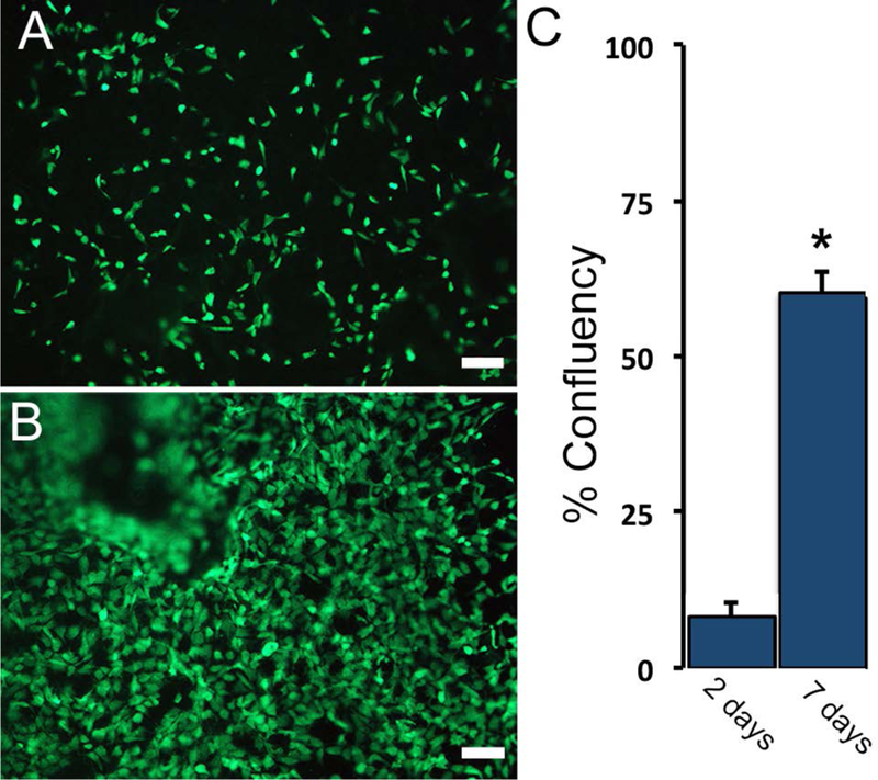 Figure 7: