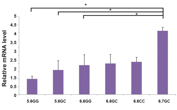 Fig.1