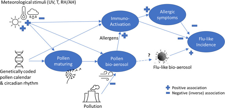 Unlabelled Image