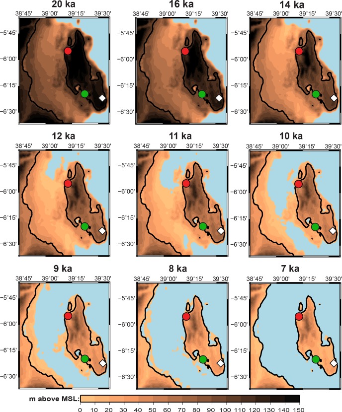 Fig 5