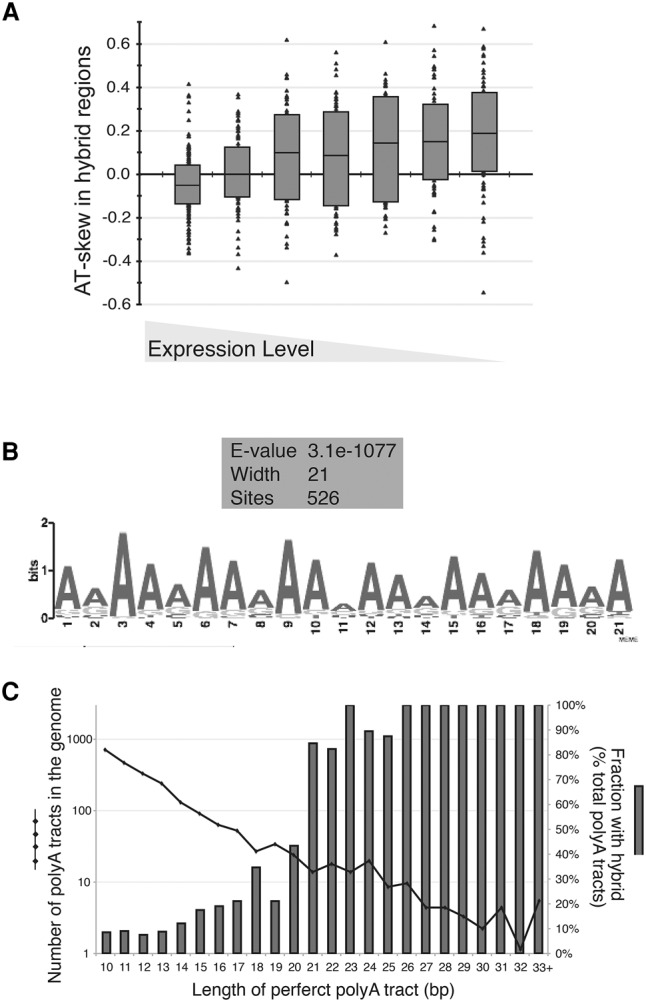 Figure 5.