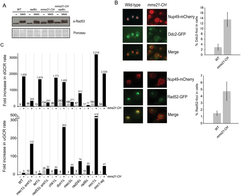 Fig 6