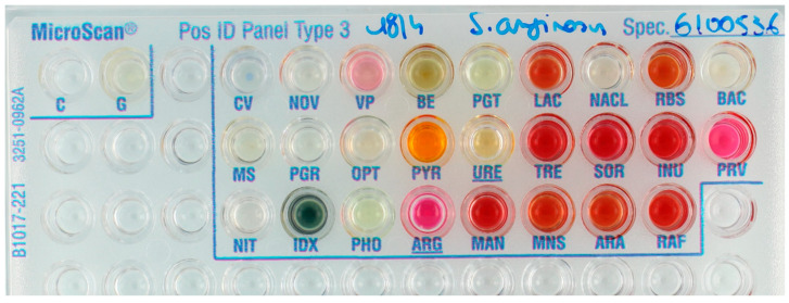 Figure 4