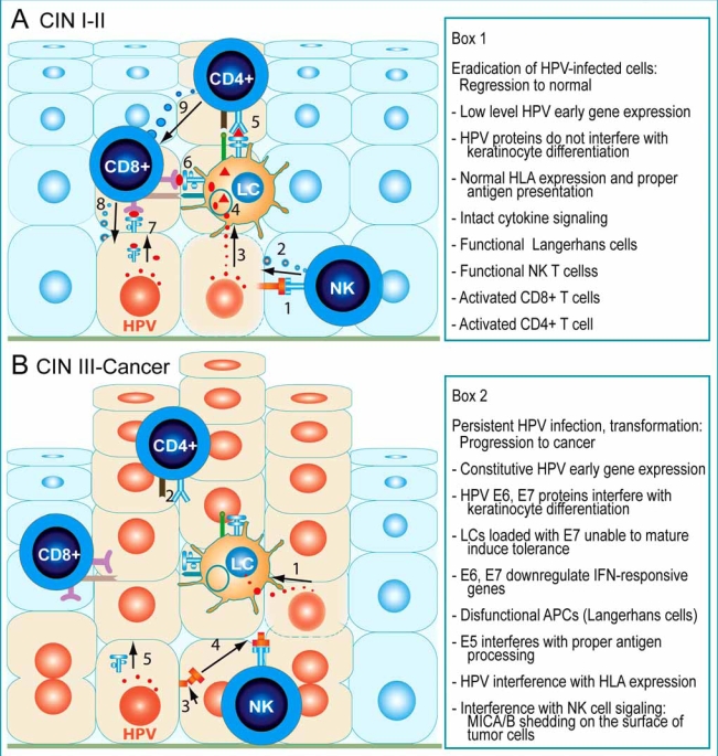 Fig. (3)