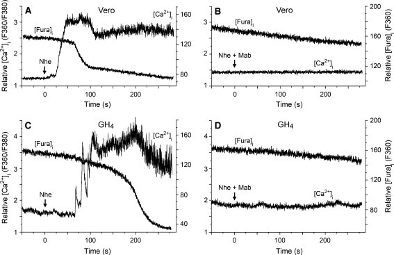 Fig. 3