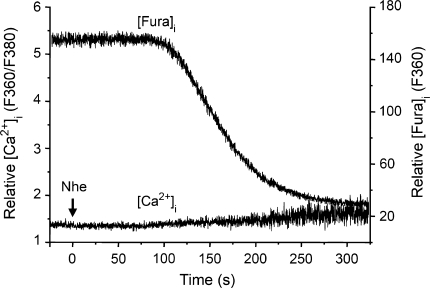 Fig. 4