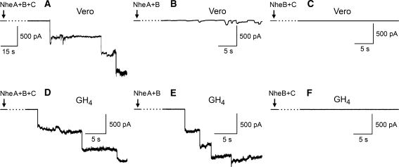 Fig. 6