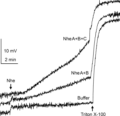 Fig. 2