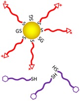 graphic file with name jfb-07-00019-i024.jpg