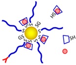 graphic file with name jfb-07-00019-i020.jpg