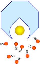 graphic file with name jfb-07-00019-i026.jpg