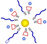 graphic file with name jfb-07-00019-i022.jpg