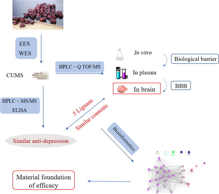 Figure 1