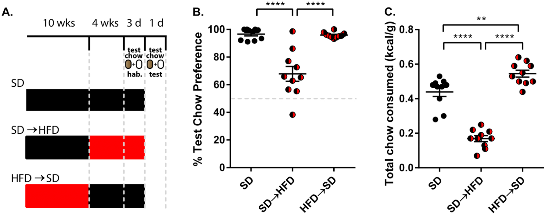 Fig.2.