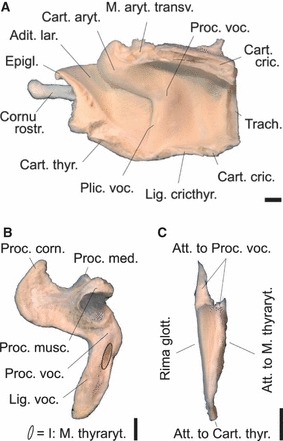 Fig. 10