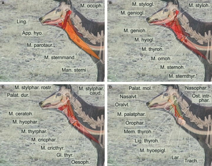 Fig. 13