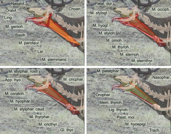 Fig. 14