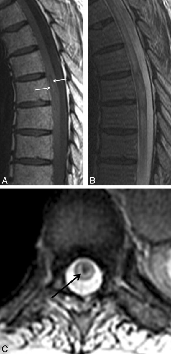 Fig 5.