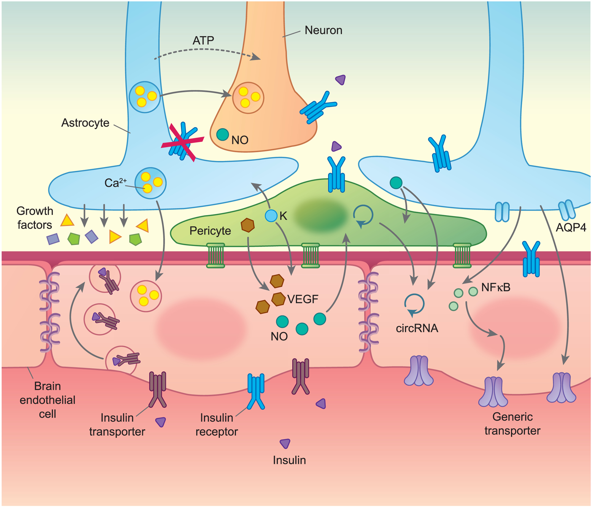 Figure 4.