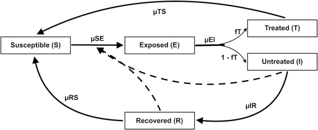 Fig 6