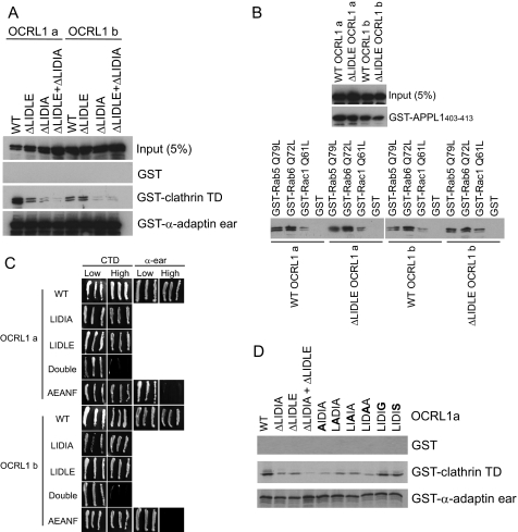 FIGURE 4.