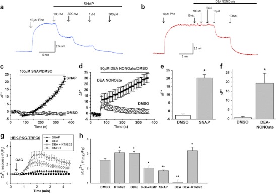 Fig. 4