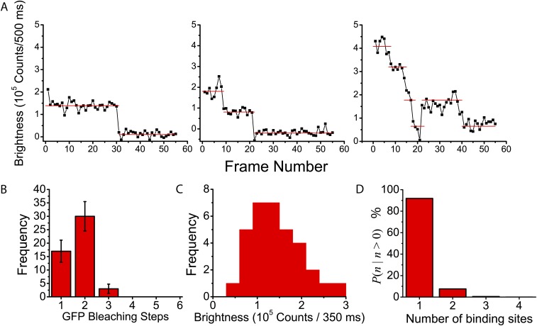 Fig. S1.