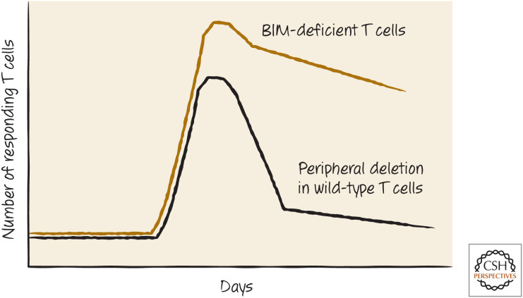 Figure 16.