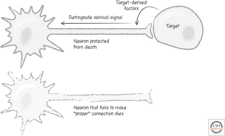 Figure 13.