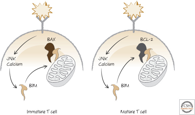 Figure 15.