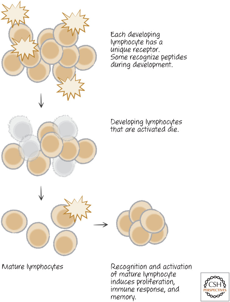 Figure 14.