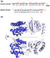 Fig. 7