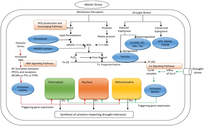 FIGURE 2