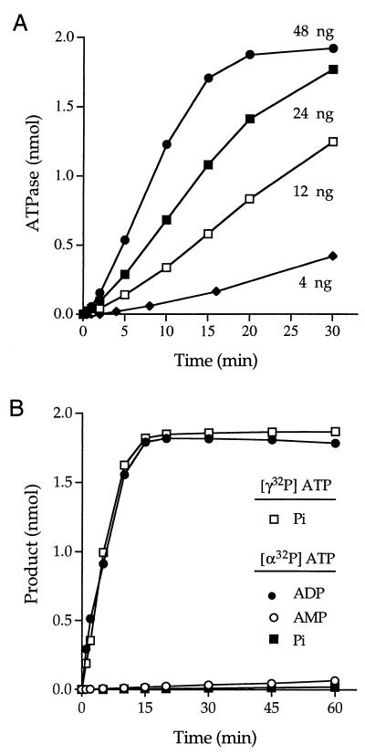 FIG. 5