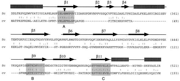 FIG. 1