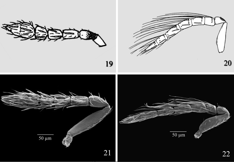 Figures 19–22.