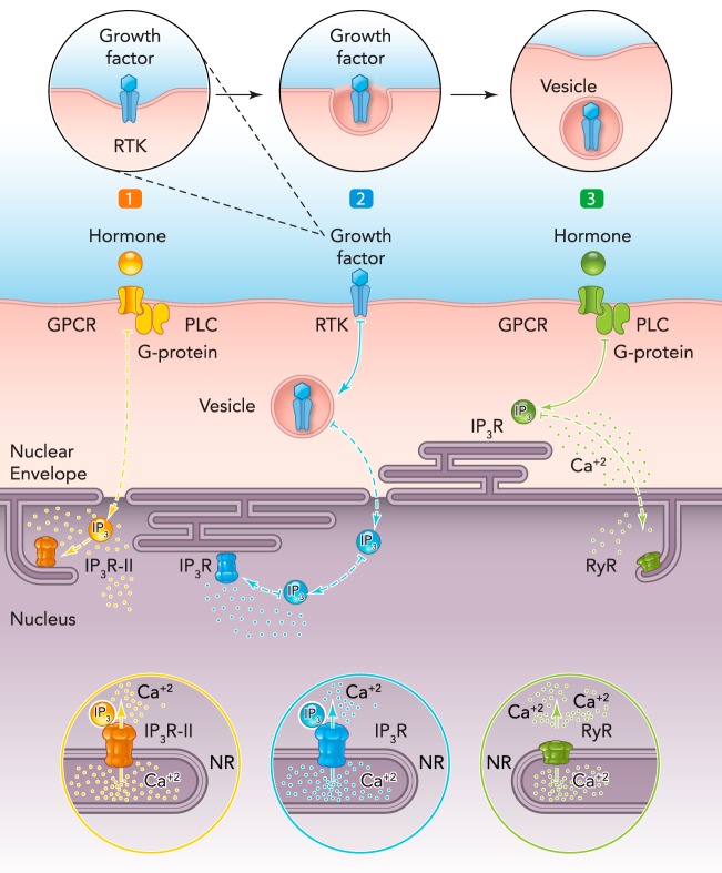 Figure 2.