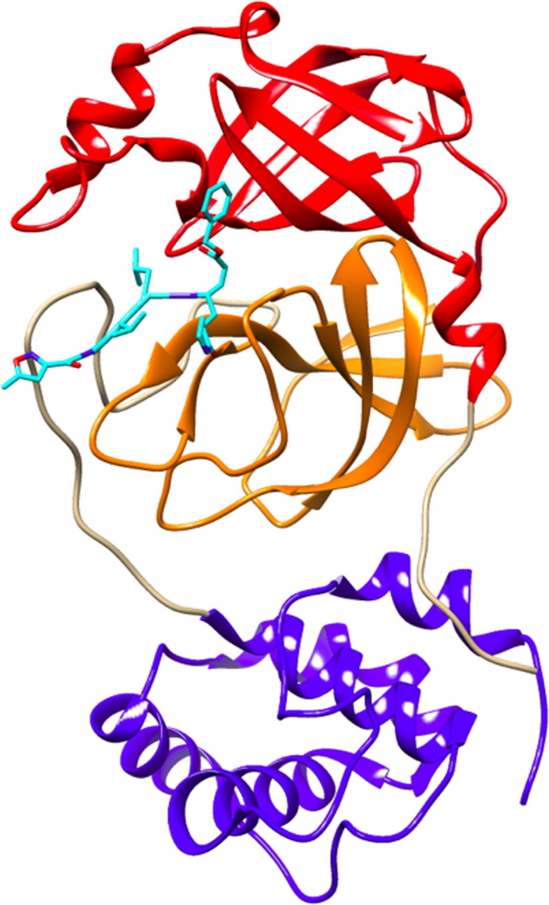 Fig. 1