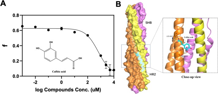 Fig. 6