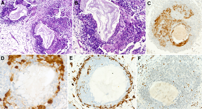 Fig. 6