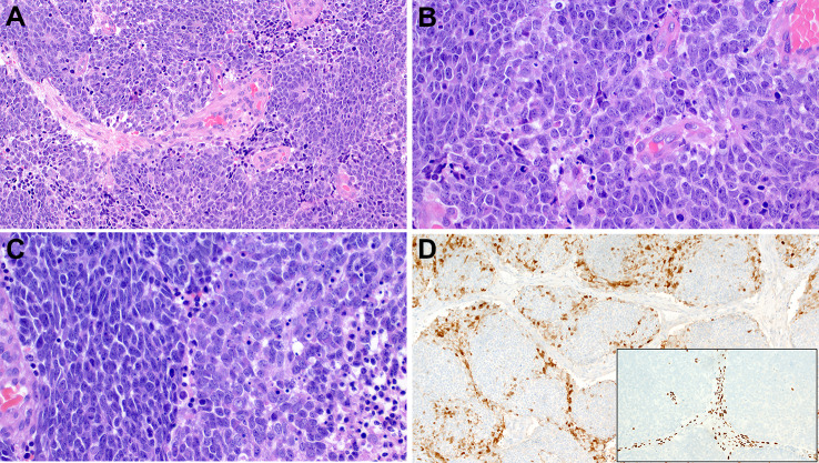 Fig. 4