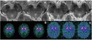 Fig. 13