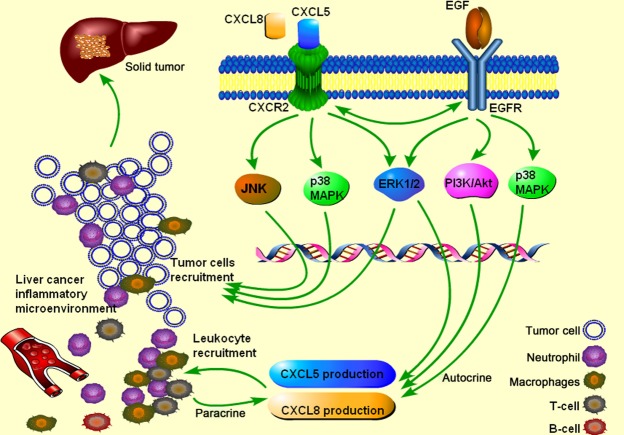 Fig 10