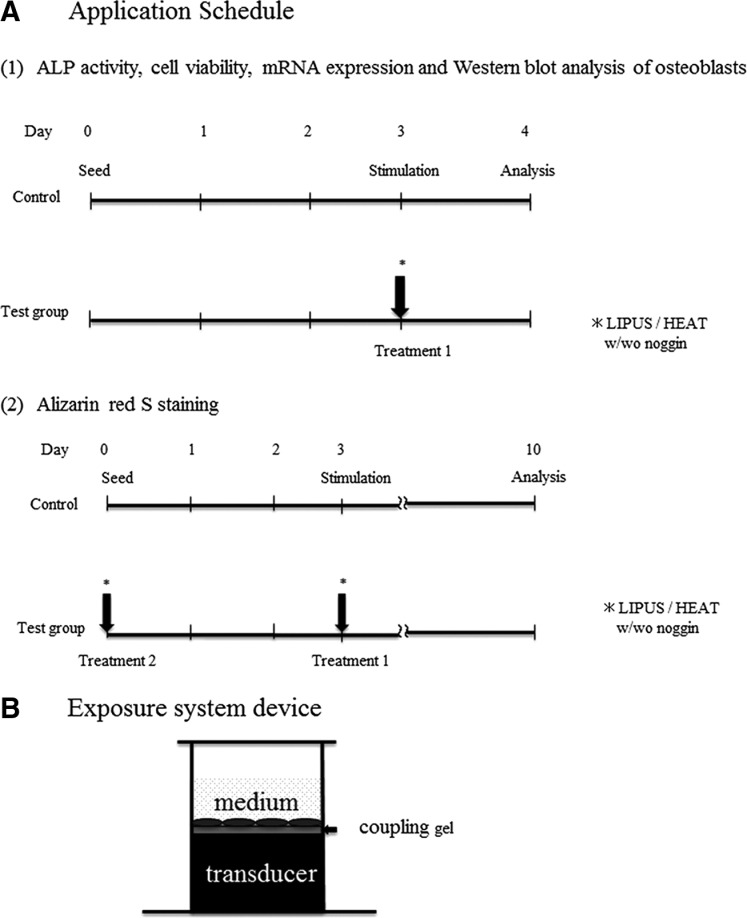 graphic file with name fig-1.jpg