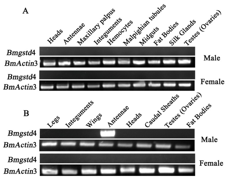 Figure 4.