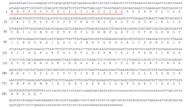 Figure 1.