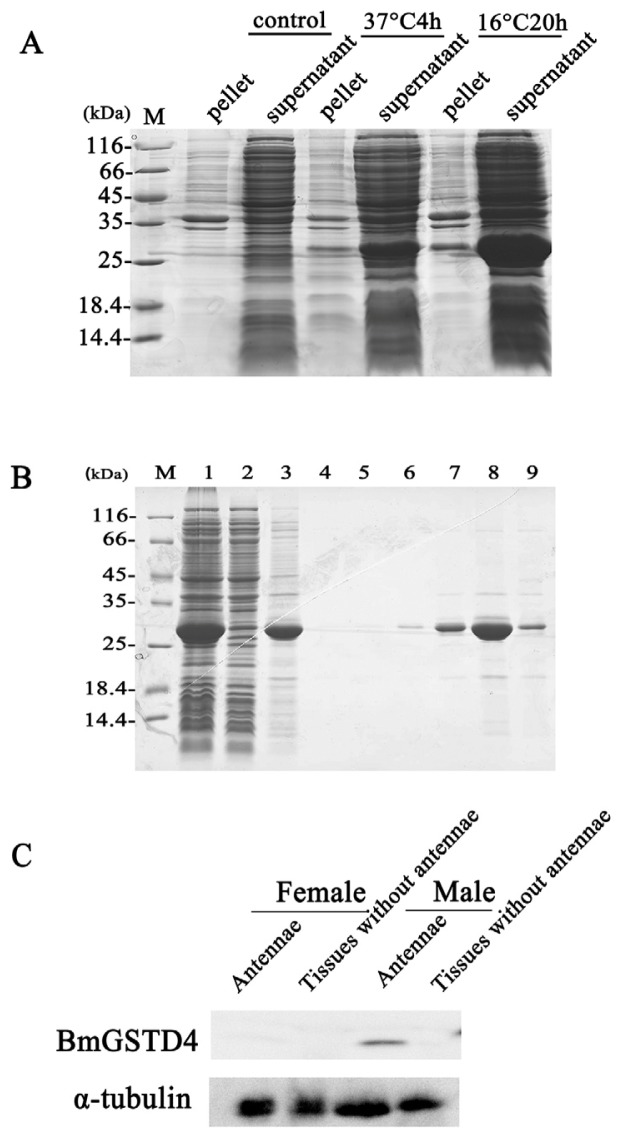 Figure 5.