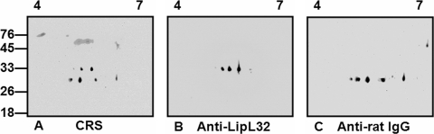 FIG. 7.